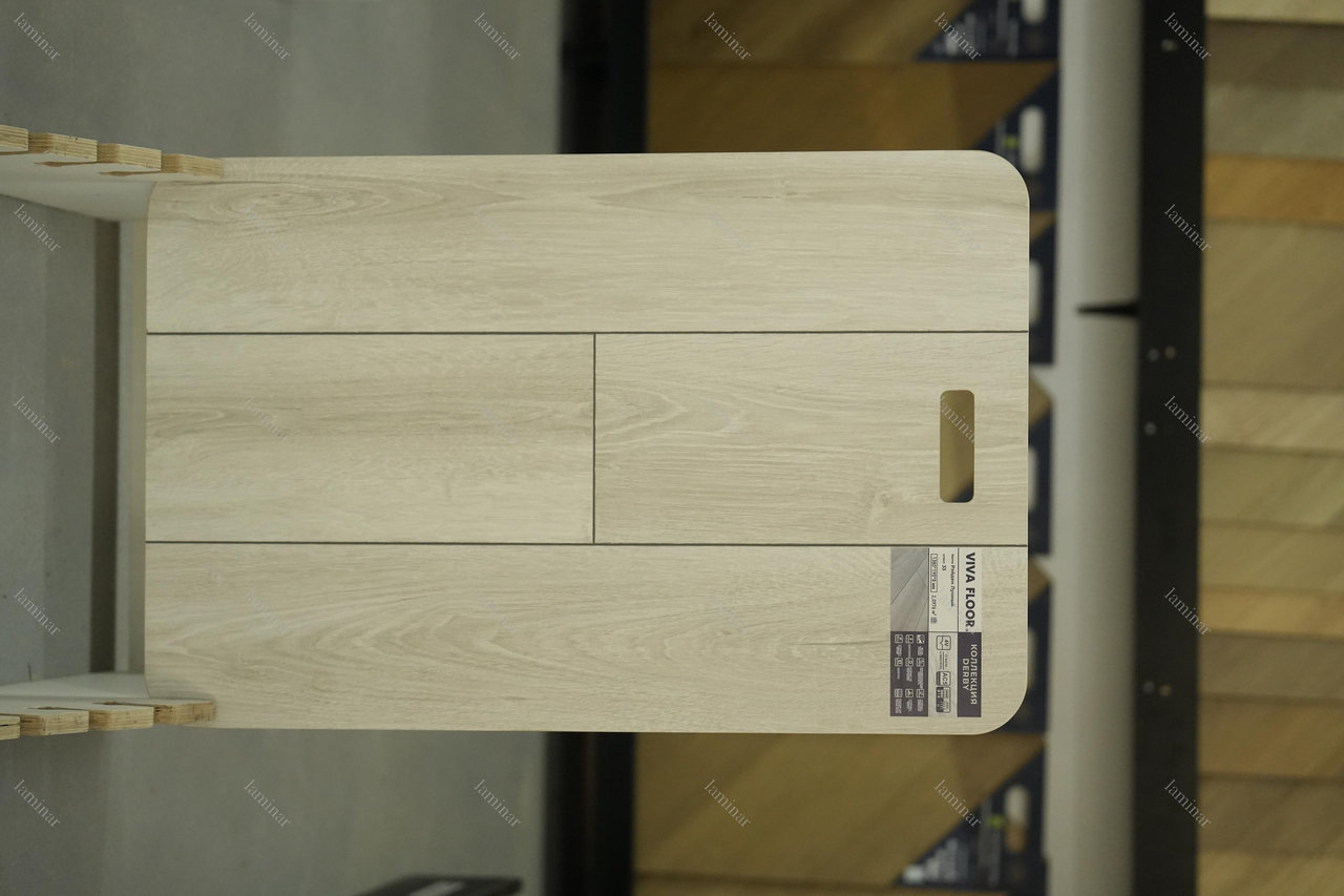 Рэйден Лунный